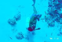 �O���X�{�[�g���猩��a�t��