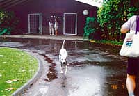 �����ق̃�����