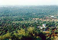 �A���x���x�b�����烂�m�[�|���ւ̓r���̕��i