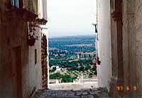 �I�X�g�D�[�j����̒��]