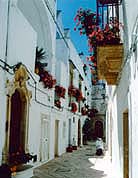 ���R���g���h�̊X����