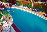 �T����h���j�R��p���X�̃v�[��