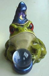 frog wizard front
