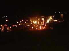 ���������Ȍ��B