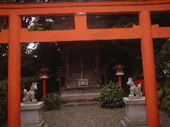 �L�c�l�̊�͂��킩�����E�E�E