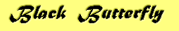 Black Butterfly
