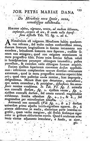 Dana 1766, p.199