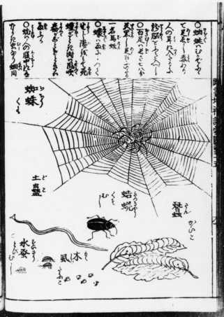 kashiragaki-zouho-kinmo-zui-taisei