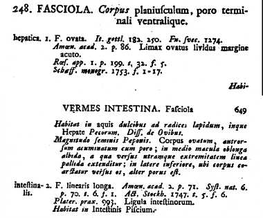 Systema Naturae pp.648-649