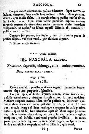 muller 1774: p.61