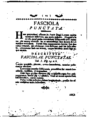 p.23 of Pallas 1774