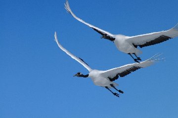 �^���`���E