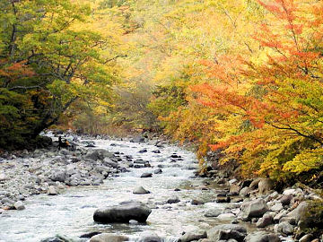 �����G�쌹���i�b�q�j