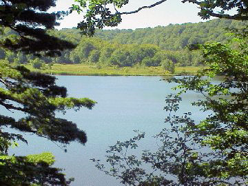 ���������������u����v