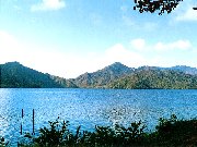 ���T����