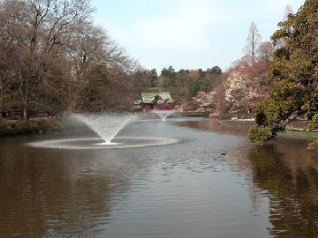 ��̓���������