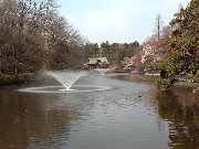 ��̓���������