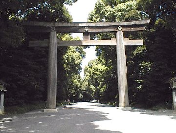 �����_�{