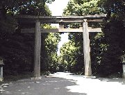 �����_�{