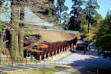 ������{����