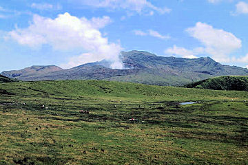 ���痢�W�]�䂩�爢�h�R��]��