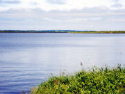 �p���P��