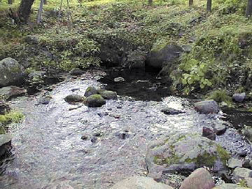 �����x��[�����N���Q