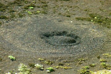 �`�c��̗N��