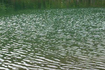 �l���\��