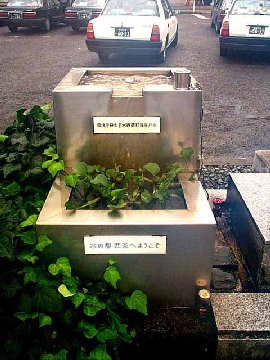 �����ʂ�