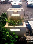 �����ʂ�