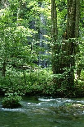 �����S�I