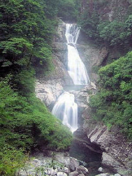 ���c����