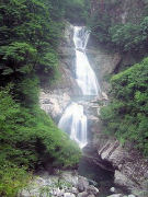 ���c����