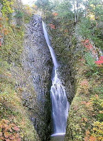 �����̑�i�H�c�����p�s�j