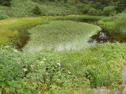 �������A�X�s�[�e���C�������̏�