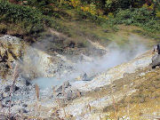 �I�i������g��