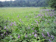 �^�`�M�{�E�V