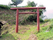 �����_��