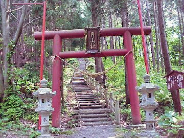 ���R�_��