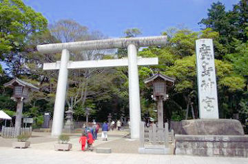 �����_�{