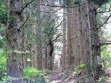 �����q�́u��א_�Ёv