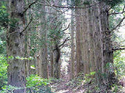 �����q�́u��א_�Ёv