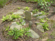 ������Ε���