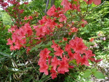 �������z��2