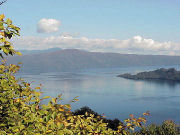 ���ד�����̒��]�i�H�c���j