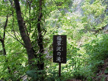 ������̑�