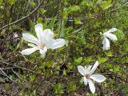 H15.05.14�^���V�o