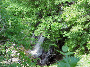 ������̑�