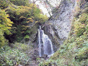 �Y�u���̑�